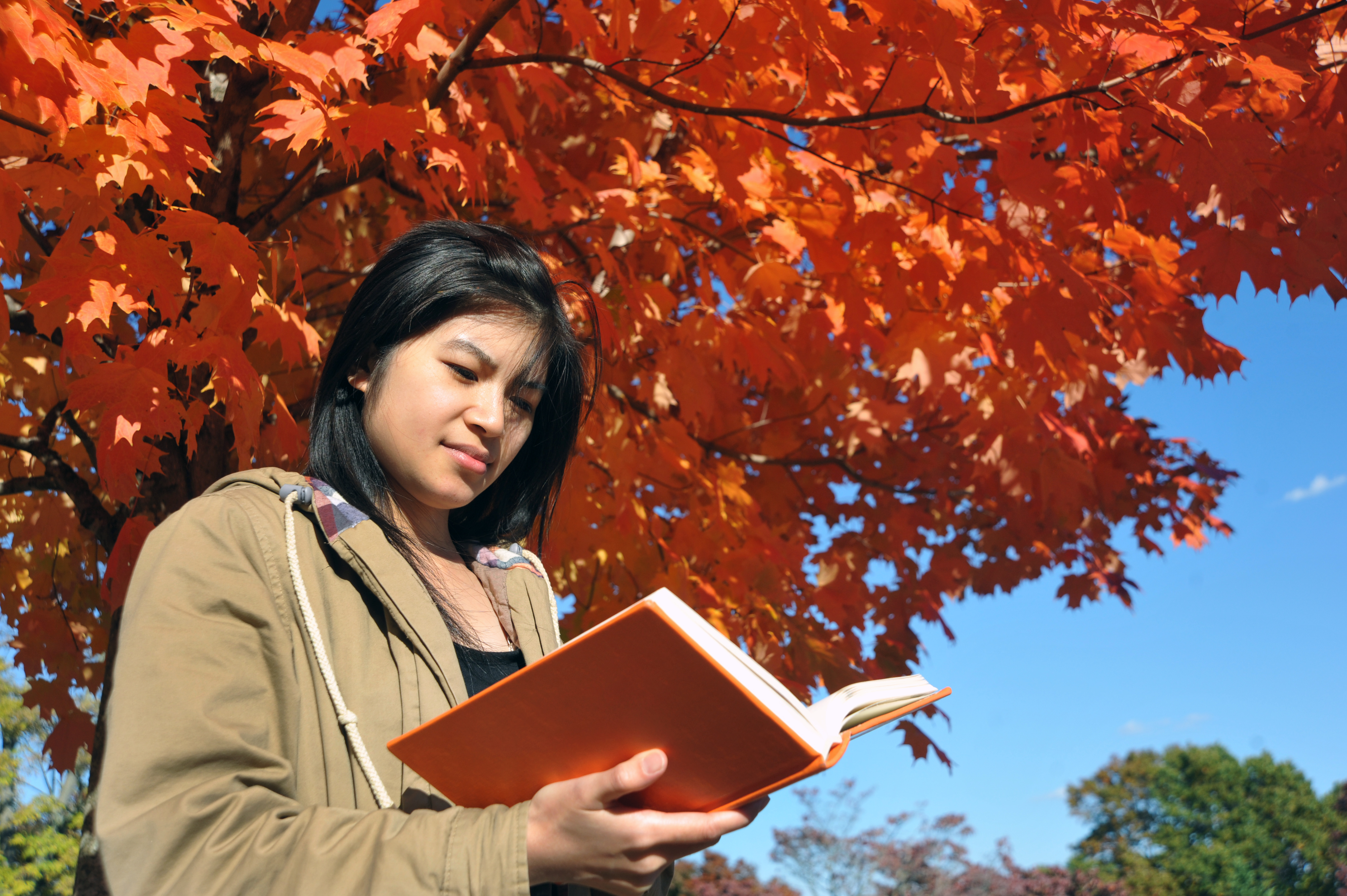 A student reading a book with an orange cover, standing below a tree with bright orange leaves
