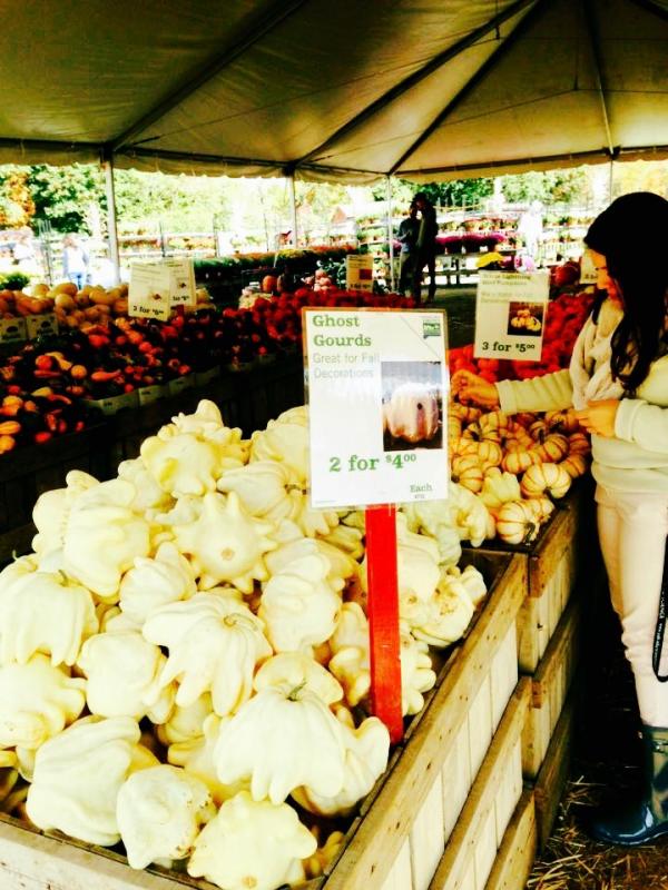 Ghost Gourds displayed at the Farmers Market