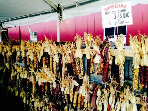 Indian Corn hangs at a farmers market