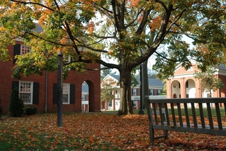 Autumn on campus